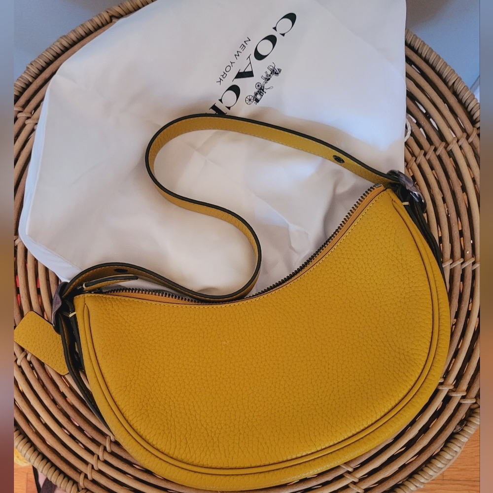 Coach hobo bag (small)